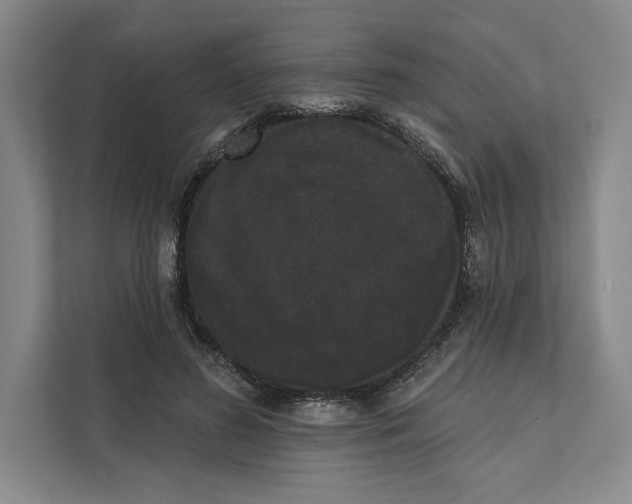 X0000111460596200908031341