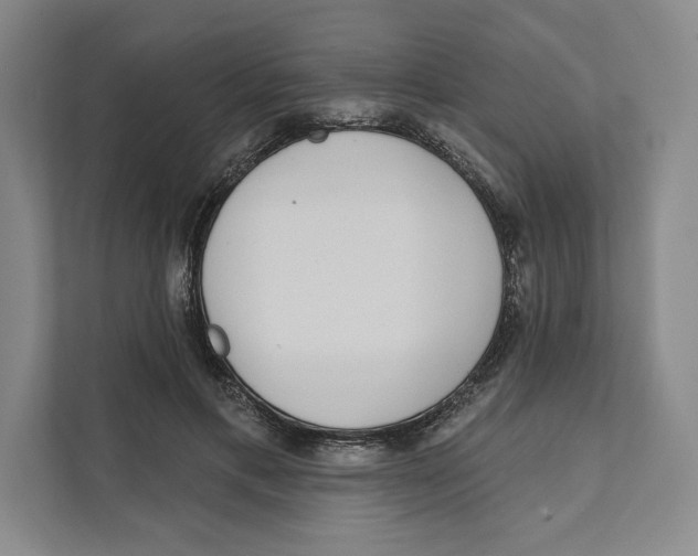 X0000111460597200908031341