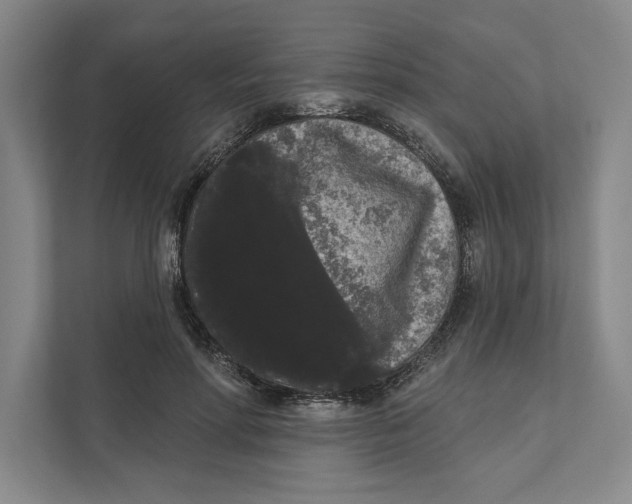 X0000111460598200908031341