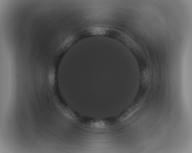 X0000111460600200908031341