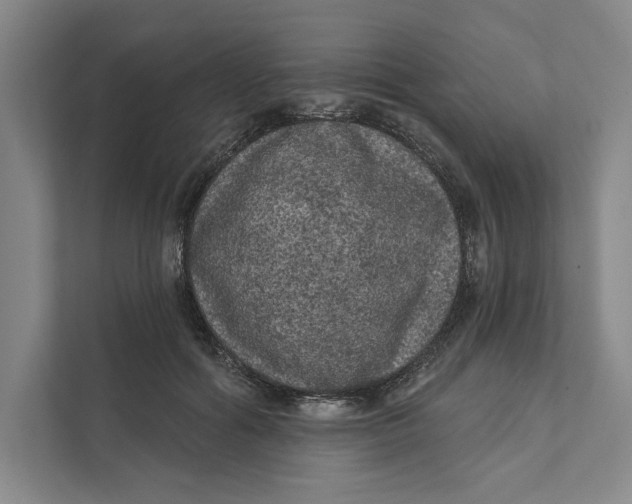 X0000111460602200908031341