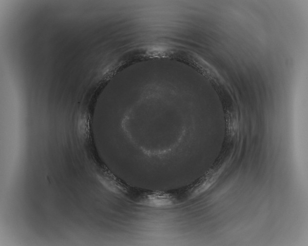 X0000111460603200908031341
