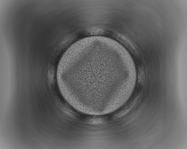 X0000111460604200908031341