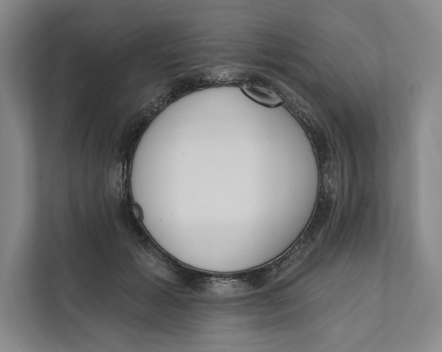 X0000111460605200908031341