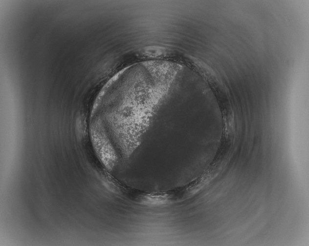 X0000111460606200908031341