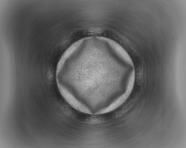 X0000111460608200908031341