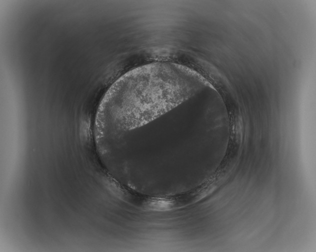 X0000111460610200908031341