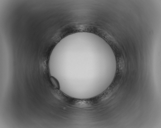 X0000111460611200908031341