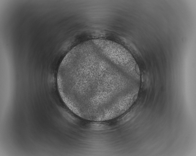 X0000111460614200908031341