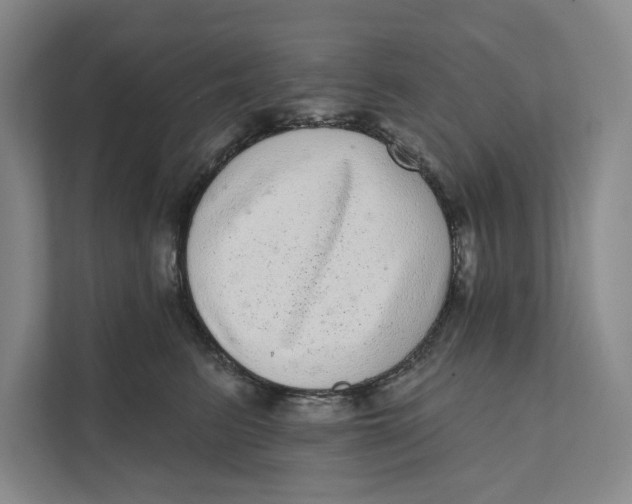X0000111460615200908031341