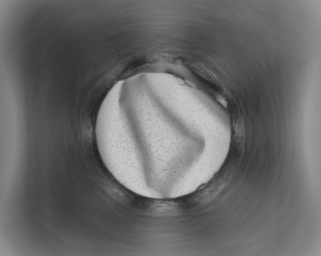 X0000111460617200908031341