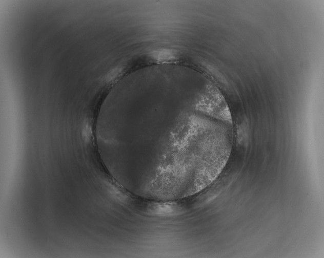 X0000111460618200908031341