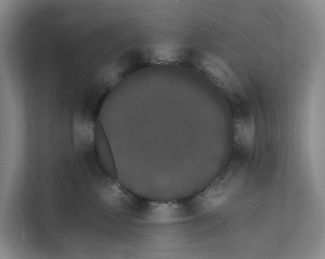 X0000111460621200908031341