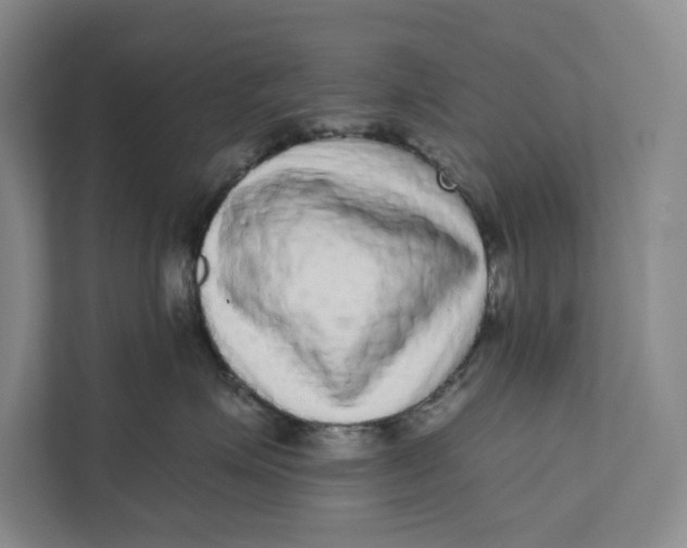 X0000111460623200908031341