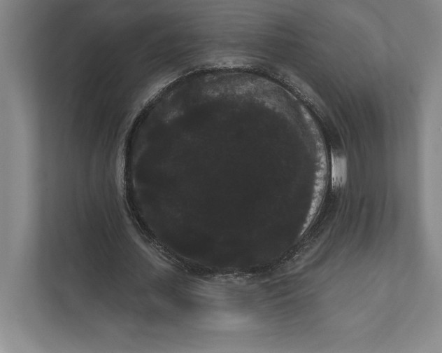 X0000111460627200908031340