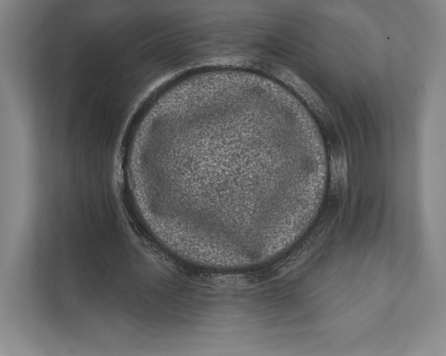 X0000111460628200908031340