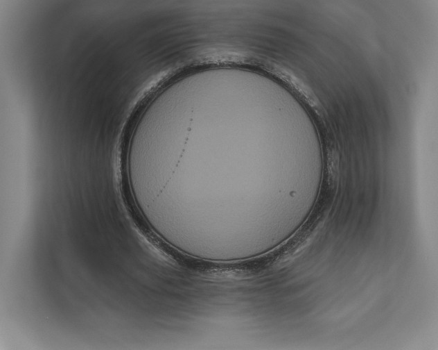 X0000111460629200908031340