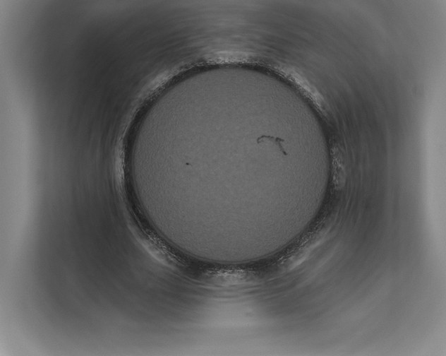 X0000111460631200908031340