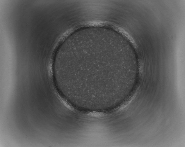 X0000111460633200908031340