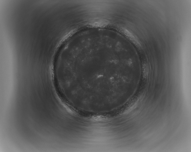 X0000111460634200908031340