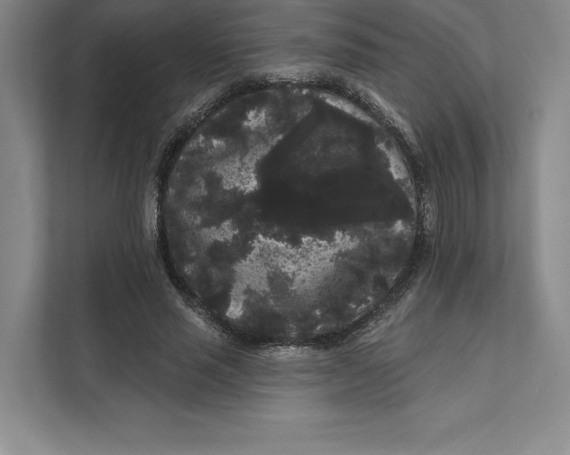 X0000111460637200908031340