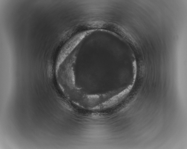 X0000111460641200908031340