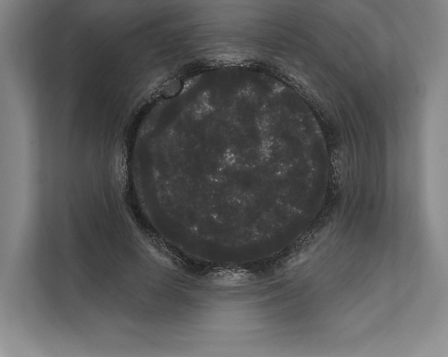 X0000111460642200908031340