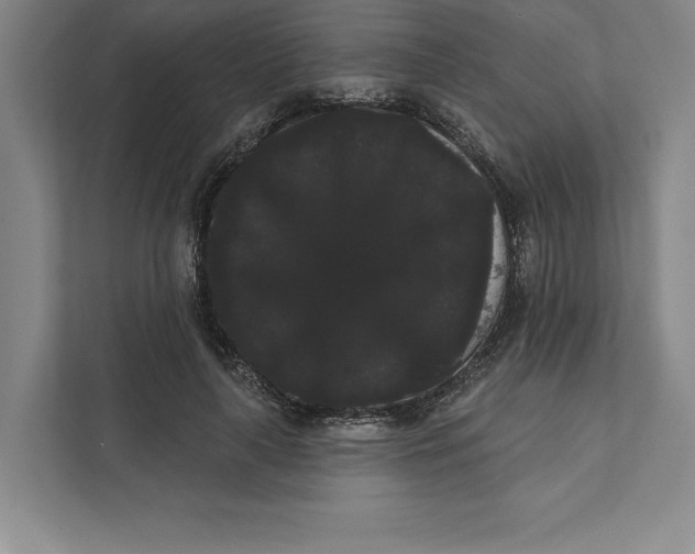 X0000111460643200908031340
