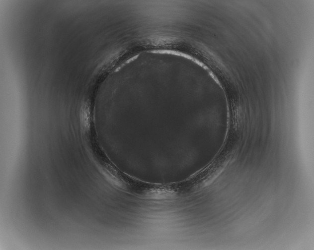 X0000111460644200908031340