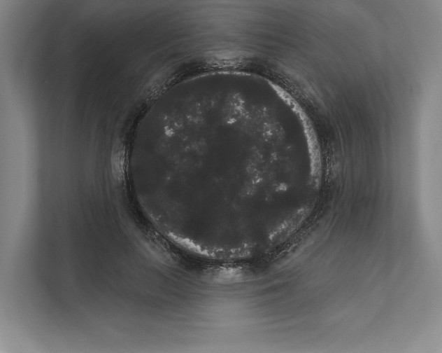 X0000111460647200908031340