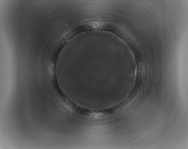X0000111460650200908031340
