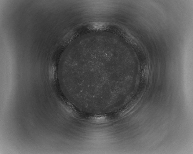 X0000111460651200908031340