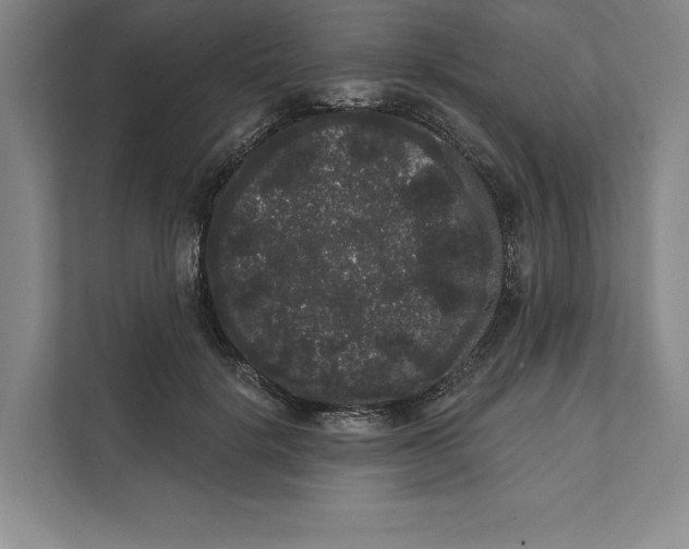 X0000111460652200908031341
