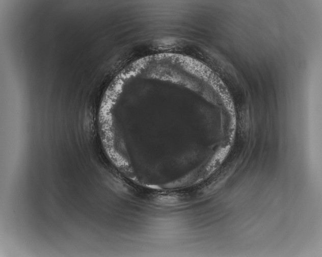 X0000111460653200908031341