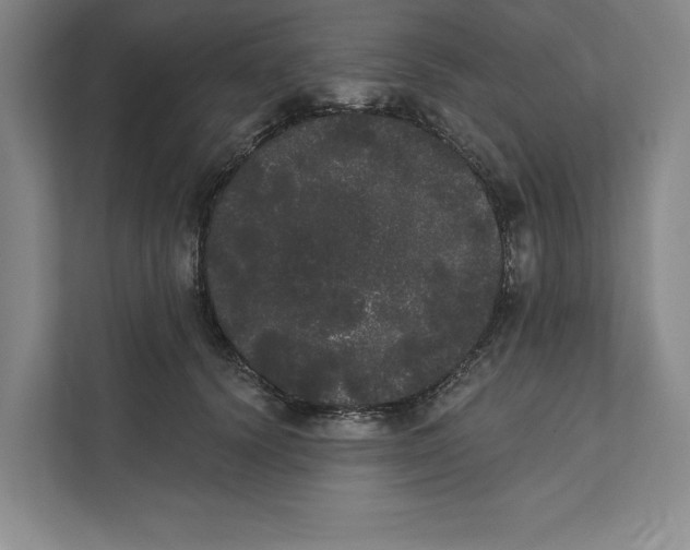X0000111460656200908031341