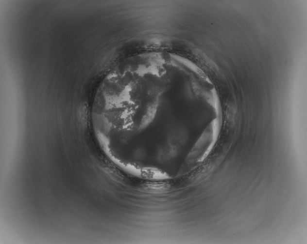 X0000111460659200908031341