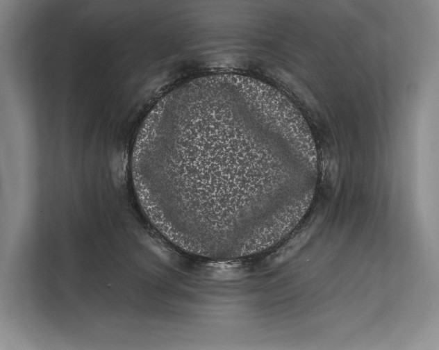 X0000111460660200908031341