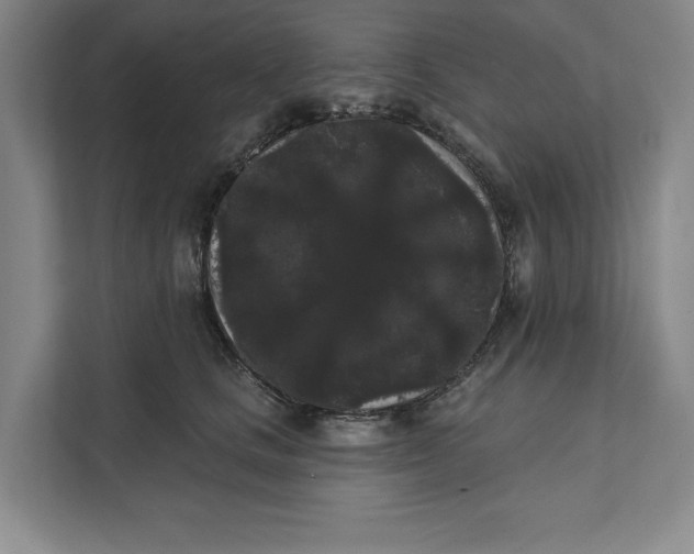 X0000111460661200908031341