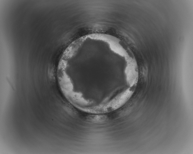 X0000111460663200908031341