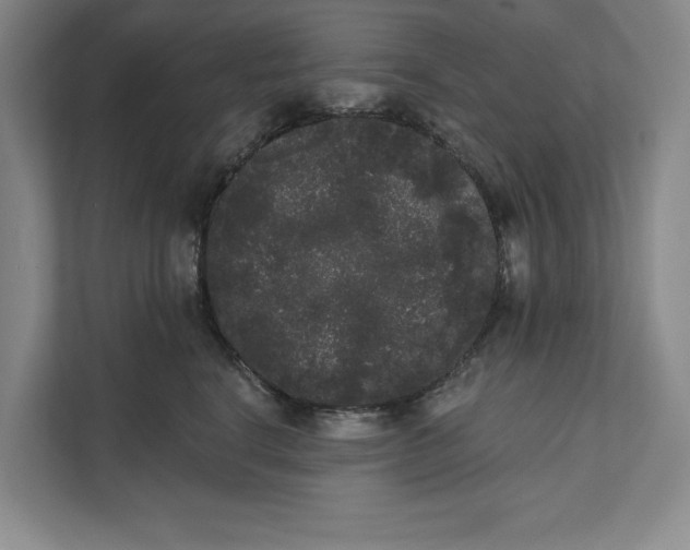 X0000111460664200908031341