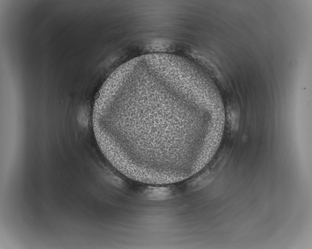 X0000111460665200908031341