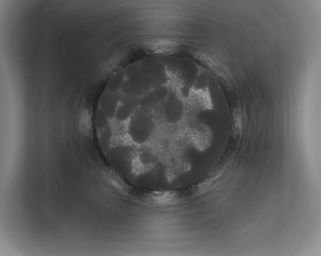 X0000111460667200908031341