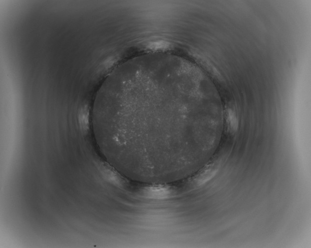 X0000111460668200908031341