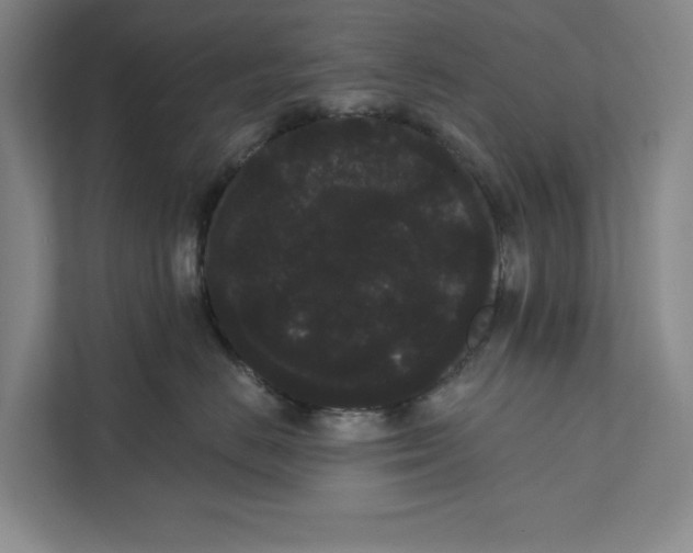 X0000111460670200908031341