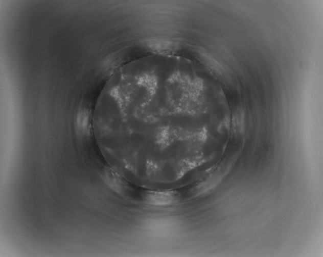 X0000111460671200908031341