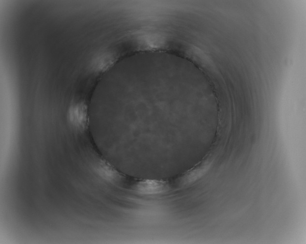 X0000111460672200908031341