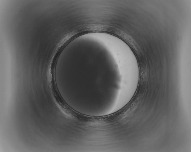 X0000111460674200908031340