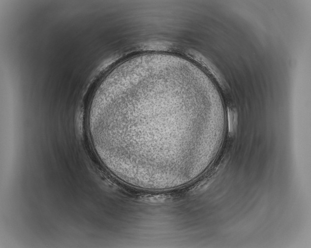 X0000111460675200908031340