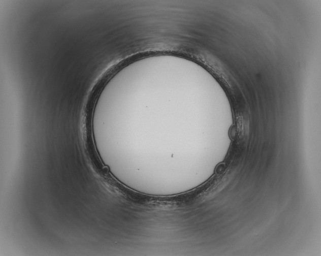 X0000111460676200908031340