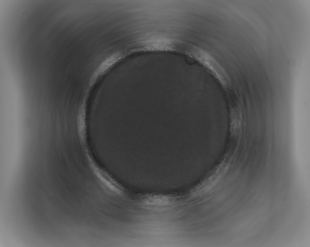 X0000111460677200908031340